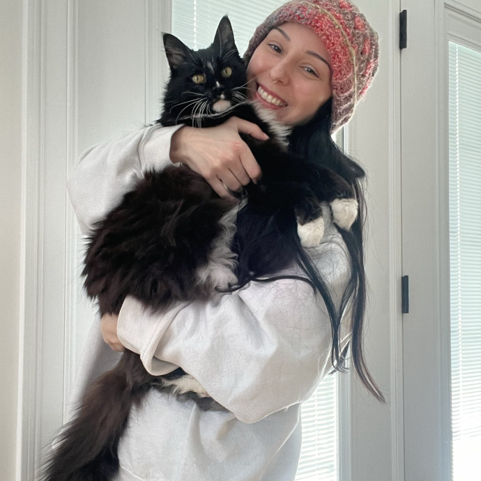 Cat Behaviorist Cat Sitter Cat Addict