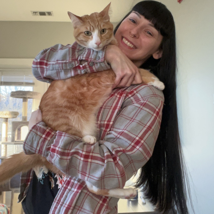 Cat Behaviorist Cat Sitter Cat Addict