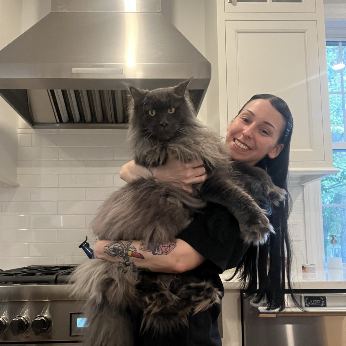 Cat Behaviorist Cat Sitter Cat Addict