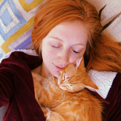 Photo #3