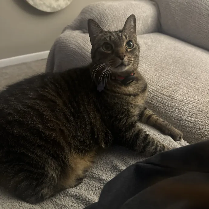 Sarah's Sensational Sitting Services