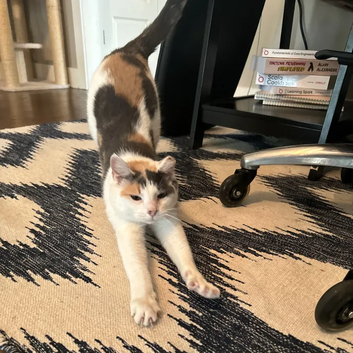 Sarah's Sensational Sitting Services
