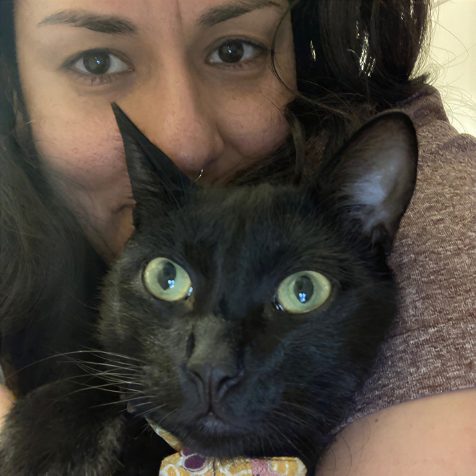 Cat Sitting In Monterey