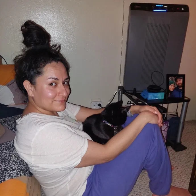 Cat Sitting In Monterey