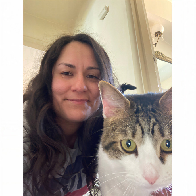 Cat Sitting In Monterey