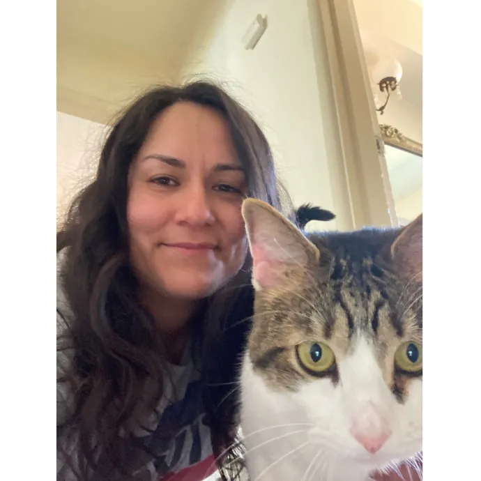 Cat Sitting In Monterey