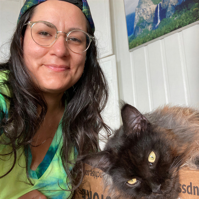 Cat Sitting In Monterey