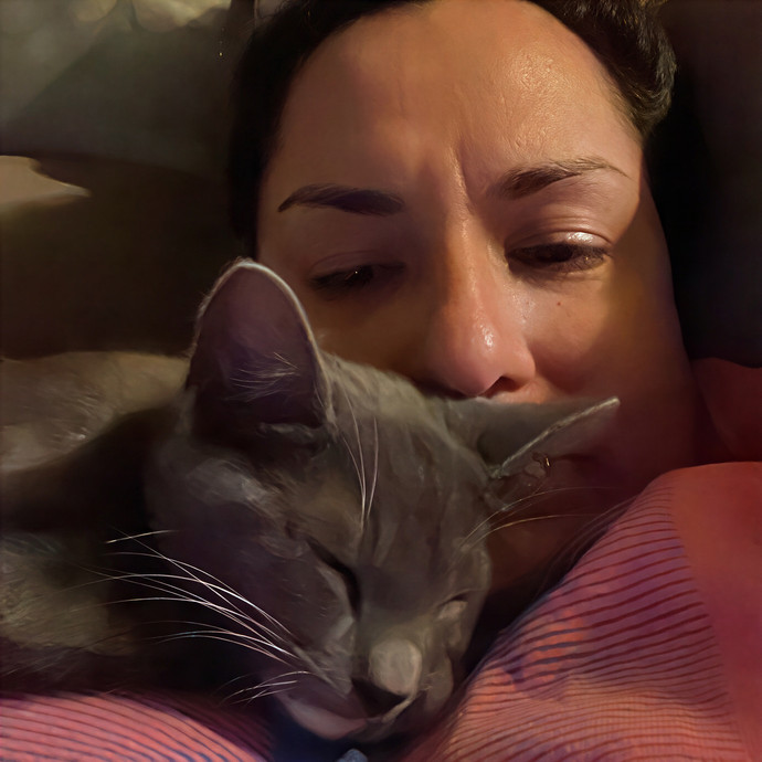Cat Sitting In Monterey