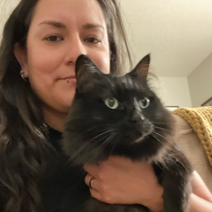 Cat Sitting In Monterey