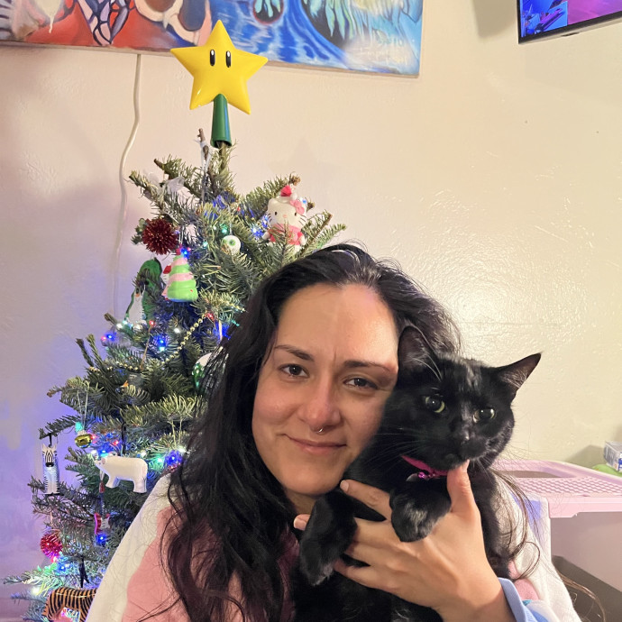 Cat Sitting In Monterey photo 2