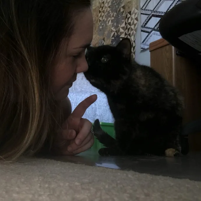 I Love Your Cat Already photo 2