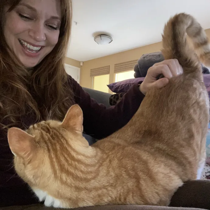Bridget The Cat Lady