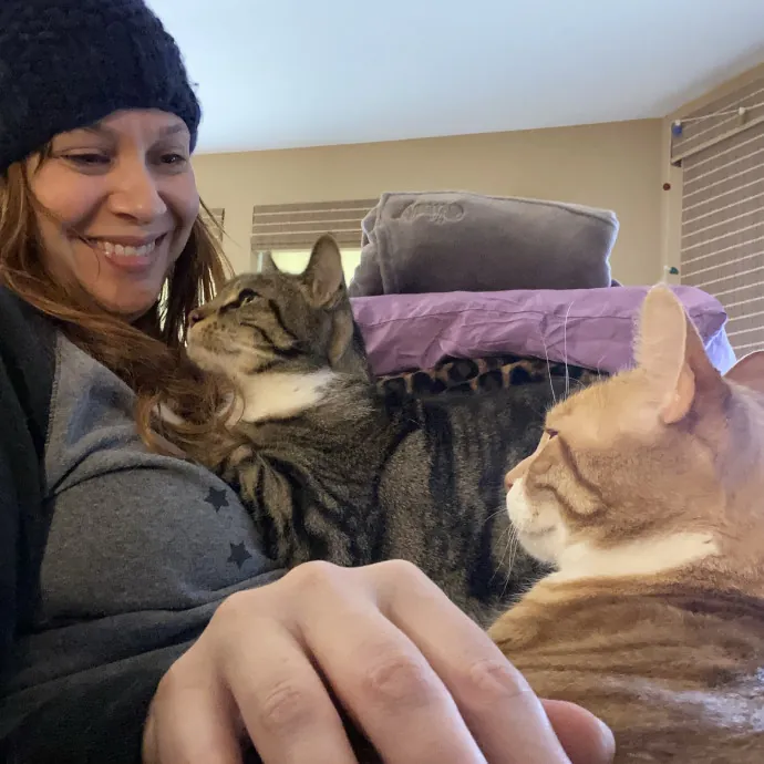 Bridget The Cat Lady