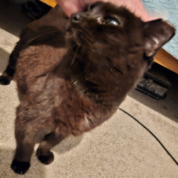 Photo #3