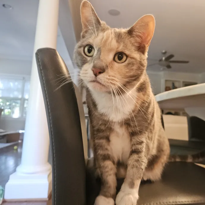 Debbie K.