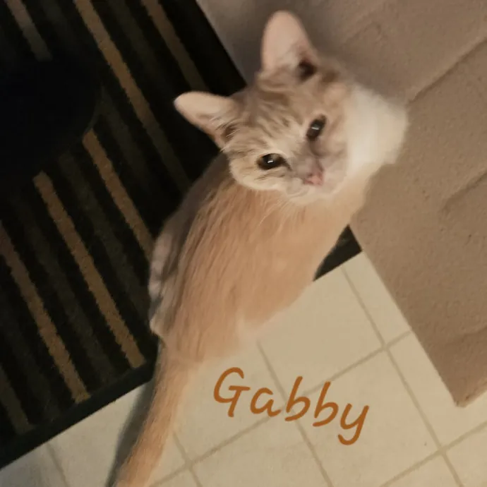 Debbie K.
