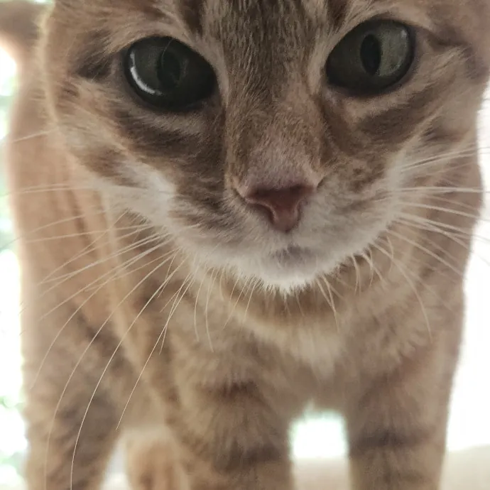 Debbie K.