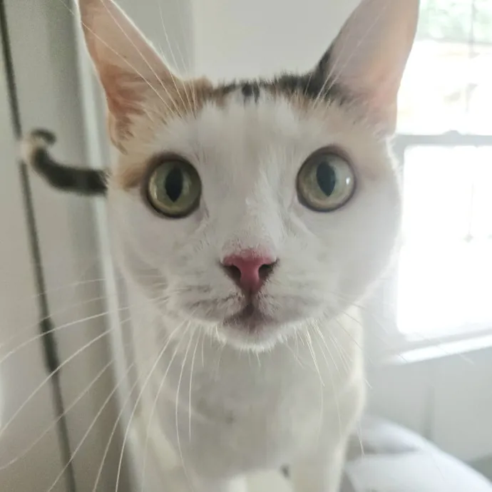 Debbie K.