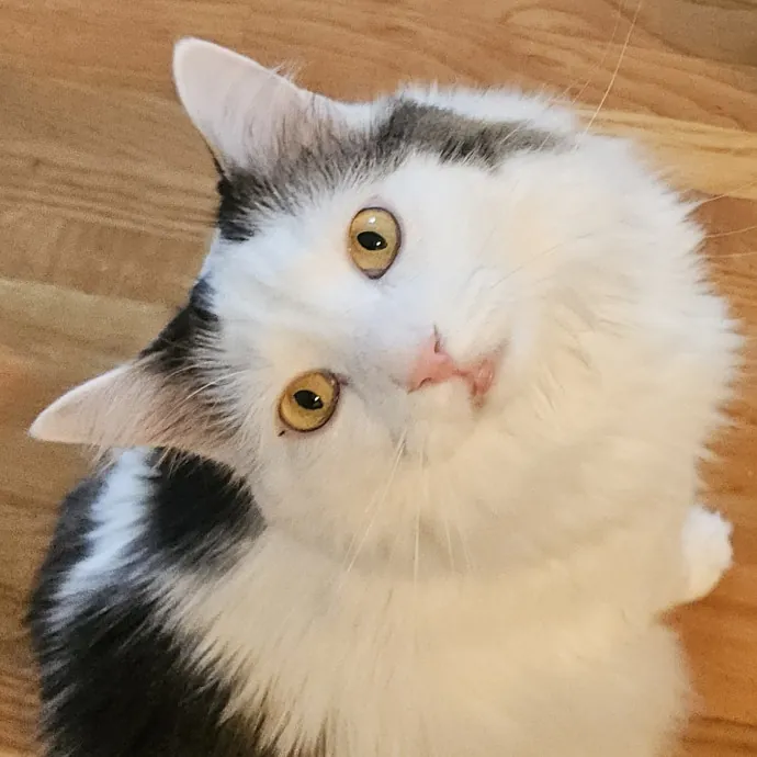 Debbie K.
