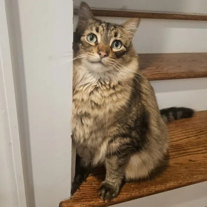 Debbie K.