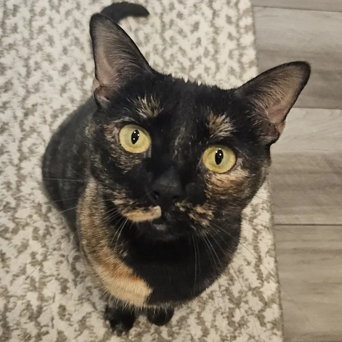 Debbie K.