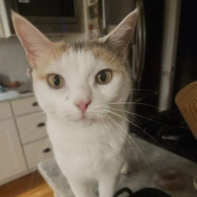Debbie K.