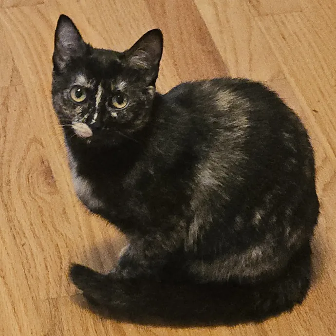 Debbie K.