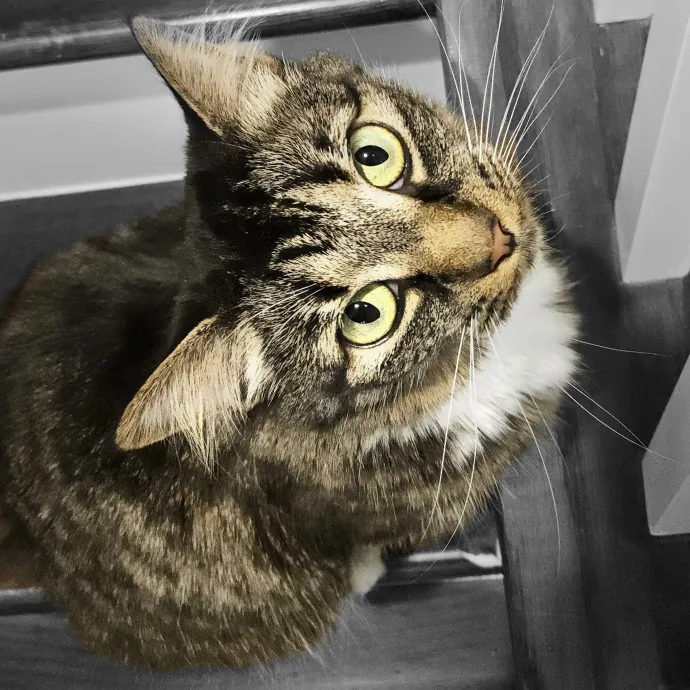 Debbie K.
