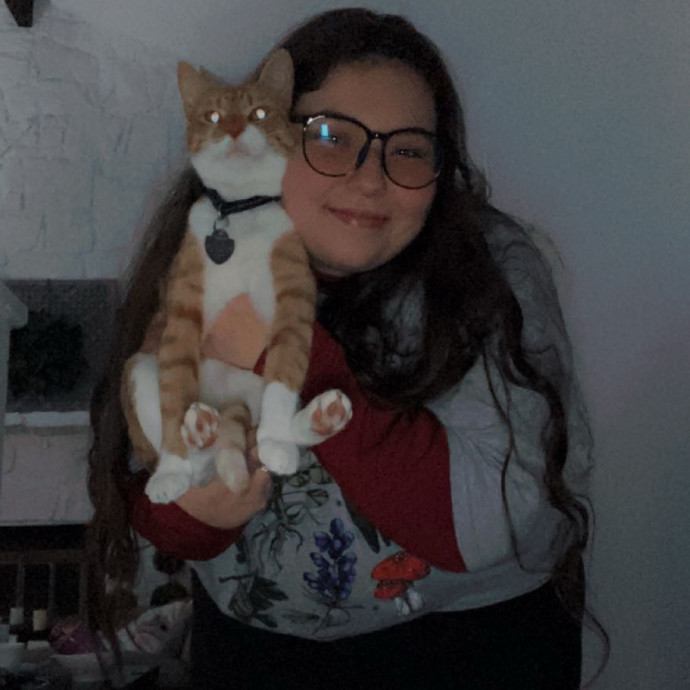 Cat Sitter