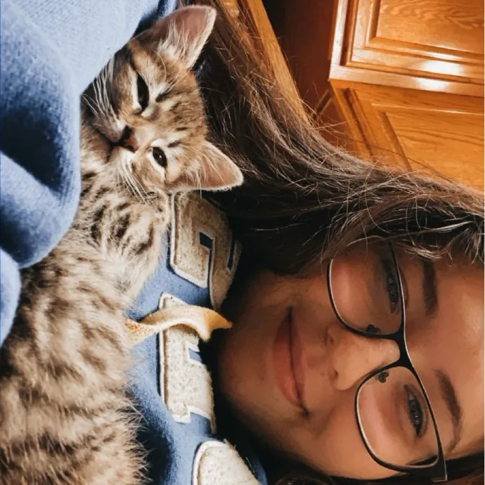 Cat Sitter photo 3