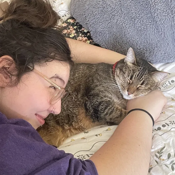 Cat Sitter photo 2