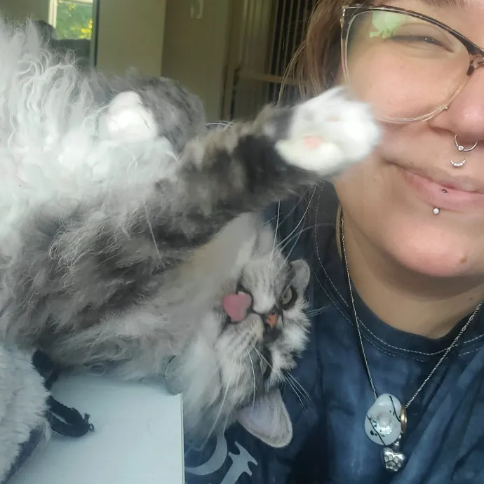 Friendly Neighborhood Cat Whisperer