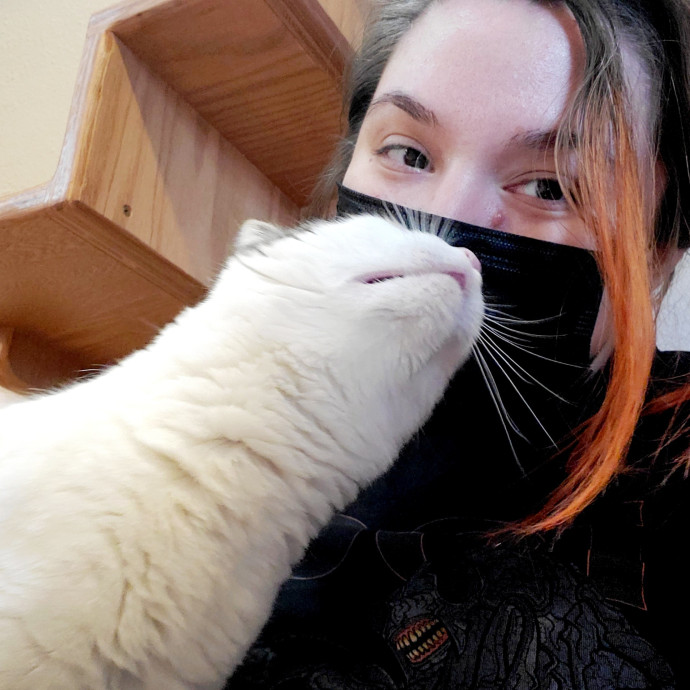Friendly Neighborhood Cat Whisperer