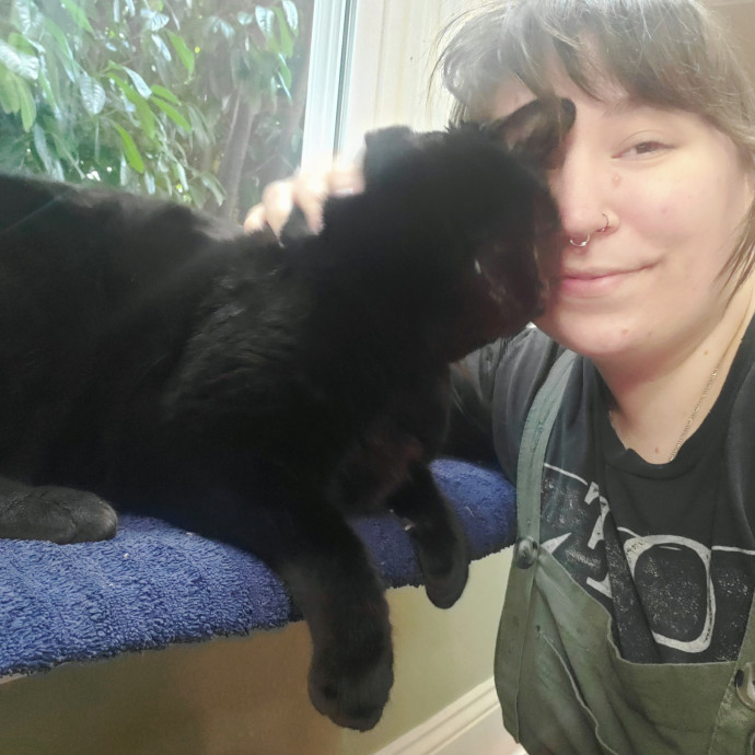 Friendly Neighborhood Cat Whisperer