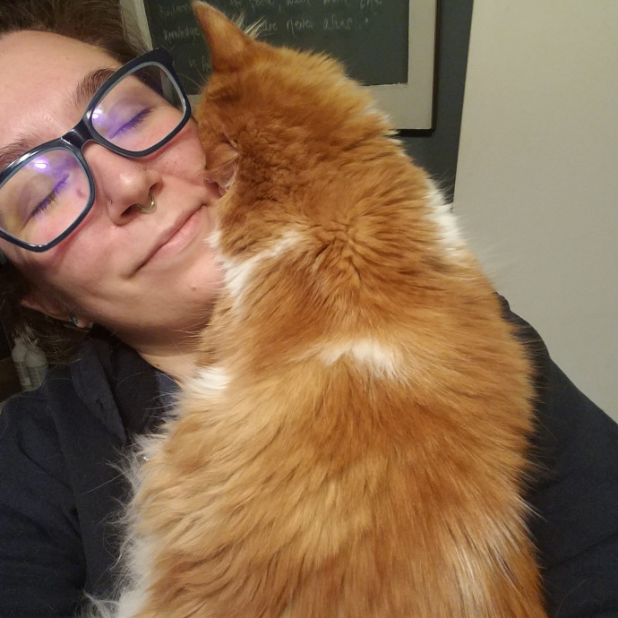 Friendly Neighborhood Cat Whisperer photo 3