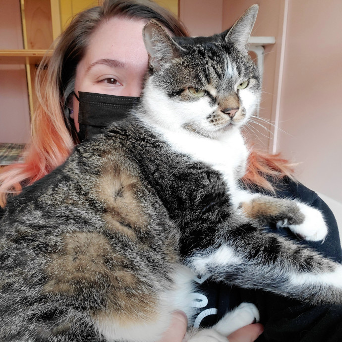 Friendly Neighborhood Cat Whisperer photo 2
