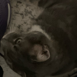 Photo #2 Photo #2