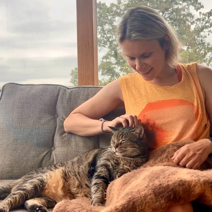 Love  Experience   Happy Kitties