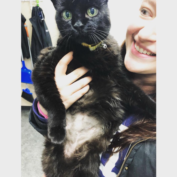 Compassionate Cat Sitter photo 3