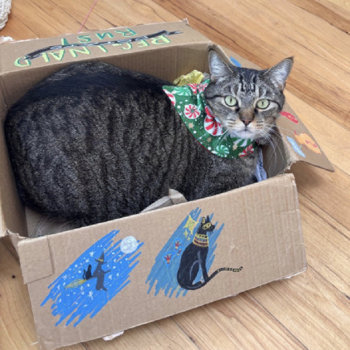Pawsitive Joy photo 3