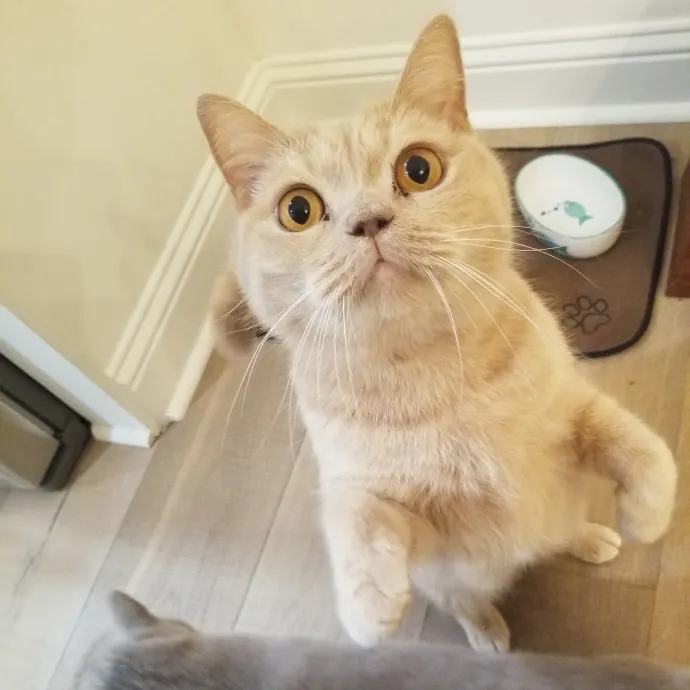 Kyla D.