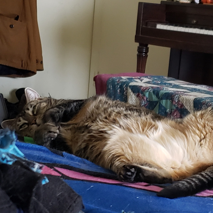 Esper The Catfriend