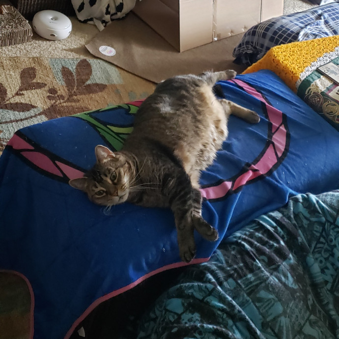 Esper The Catfriend