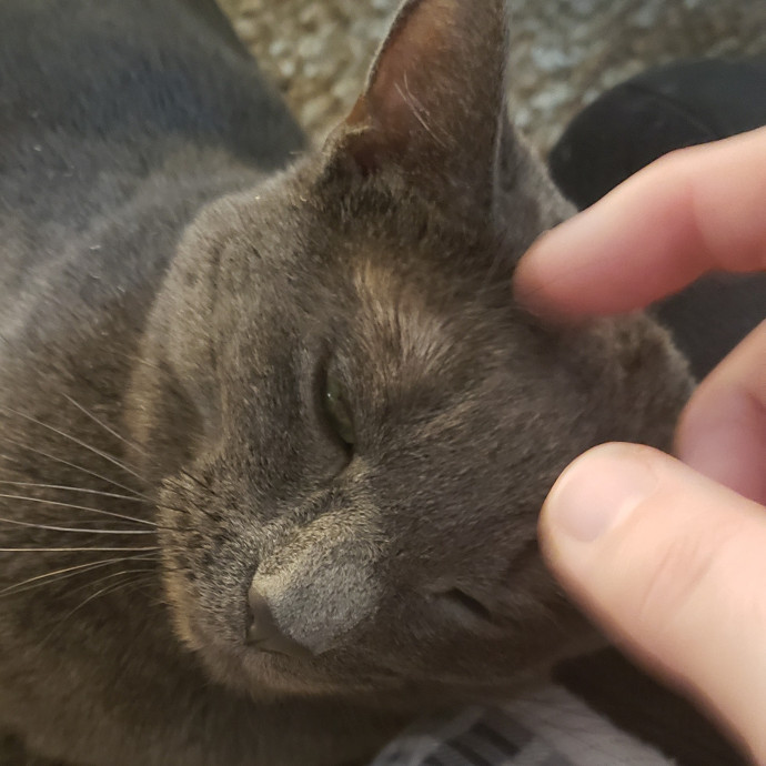 Esper The Catfriend