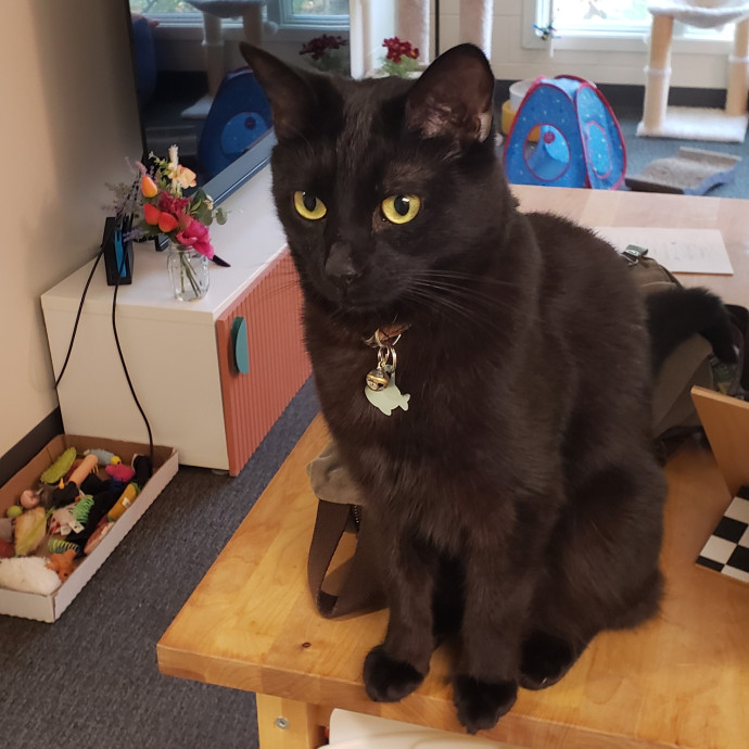 Esper The Catfriend