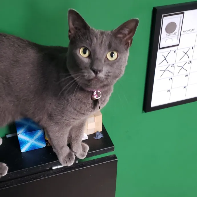 Esper The Catfriend