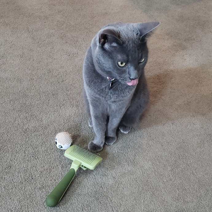 Esper The Catfriend