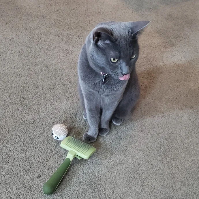 Esper The Catfriend
