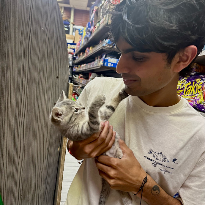 Professional Cat Lover
