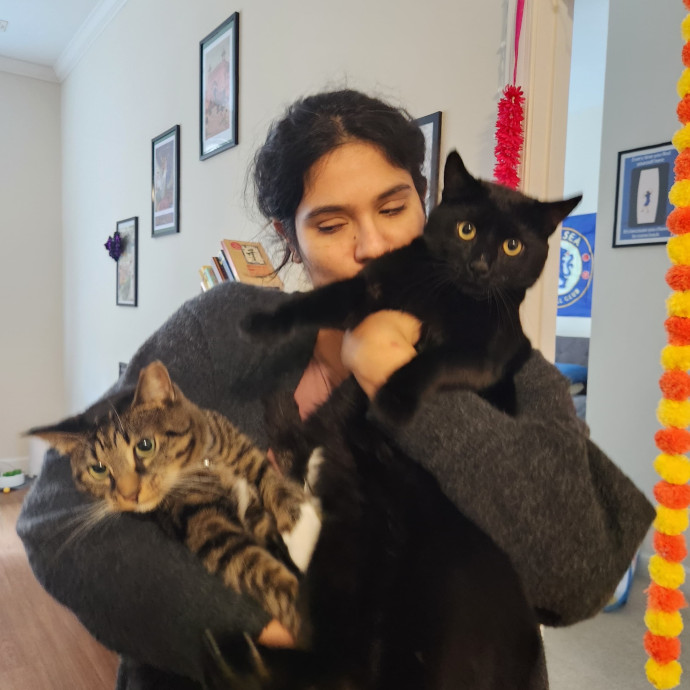 Patient And Gentle Cat Sitter